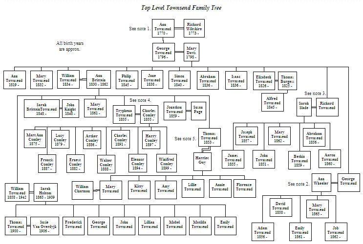 Image of top level townsend tree.jpg