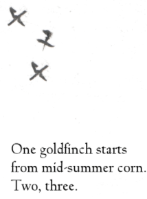 One goldfinch starts/from midsummer corn./Two.three.