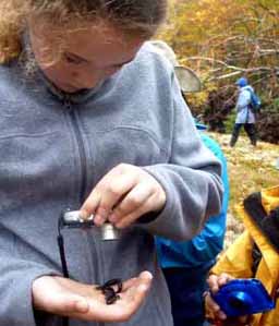 Photo of Macoun member taking picture of salamander in her hand