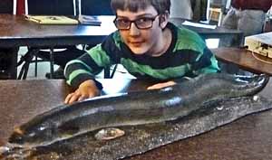 Photo of boy touching model of eel